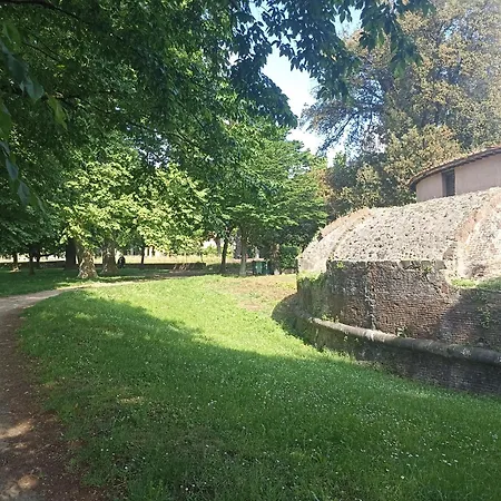 Holiday home Gem In The City Center Of With Air Conditioning - Exclusive Ground Floor House Inside The Walls Close To Botanical Garden And Piazza San Martino Lucca