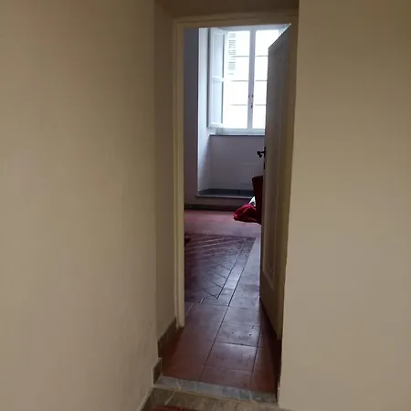 Gem In The City Center Of With Air Conditioning - Exclusive Ground Floor House Inside The Walls Close To Botanical Garden And Piazza San Martino Lucca