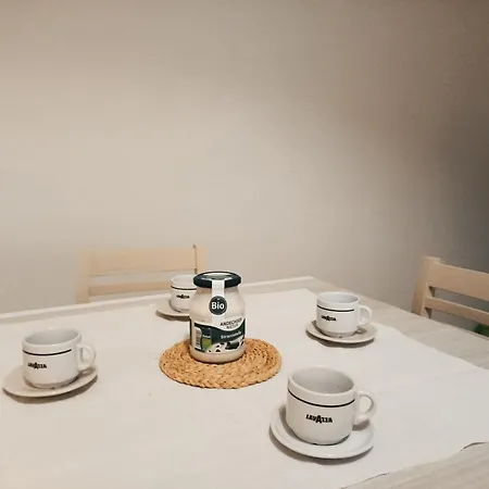 Gem In The City Center Of With Air Conditioning - Exclusive Ground Floor House Inside The Walls Close To Botanical Garden And Piazza San Martino * Lucca